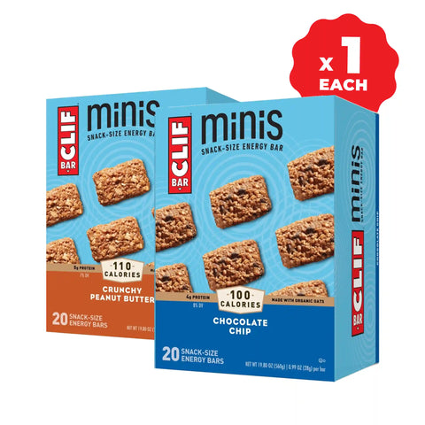 Chocolate Chip Minis